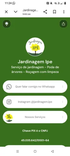 Roçagem , plantio de gramas e etc
