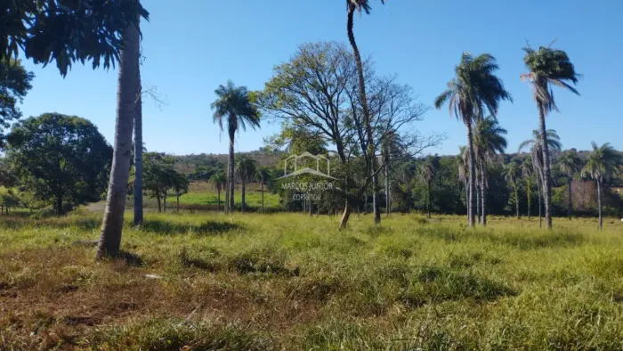 FAZENDA DE 348 HA, LOCALIZADA NA REGIÃO DE CORAÇÃO DE JESUS MG !!!