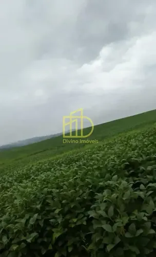 Fazenda à venda, 49 Alqueires por R$ 11.000.000 - Área Rural - Itapetininga/SP