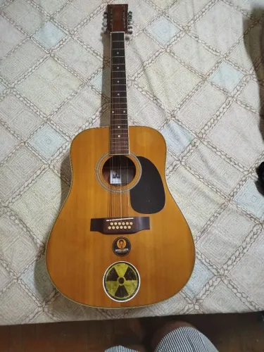 Violão Hofman 12 Cordas - Muito Bem Conservado