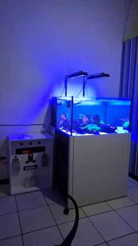 Aquário marinho 816L