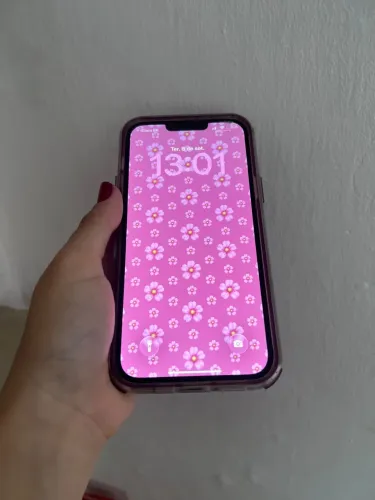 iPhone 13 Pro Max 256gb