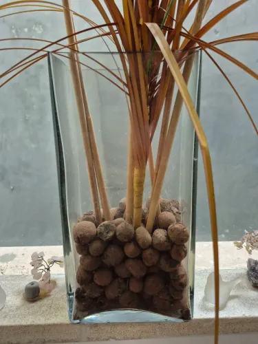 Vaso de vidro com folhagem