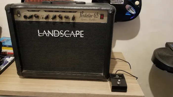 Cubo Landscape 65W + Footswitch - Excelente Estado