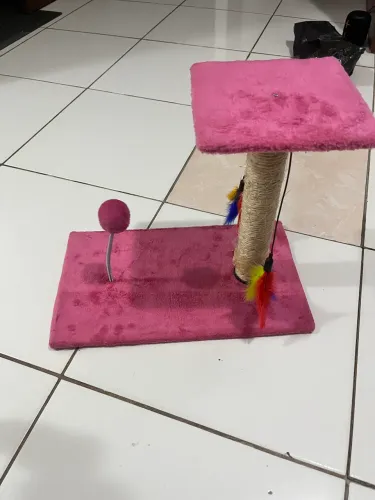 Kit para gato (a) 