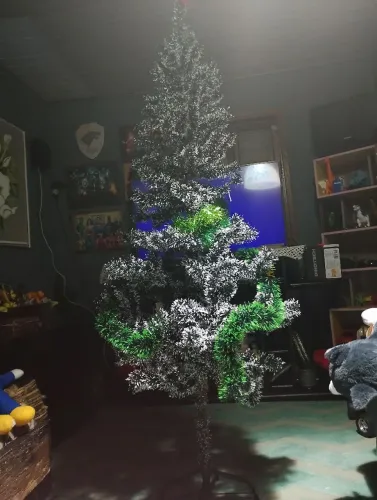 Pinheiro de natal
