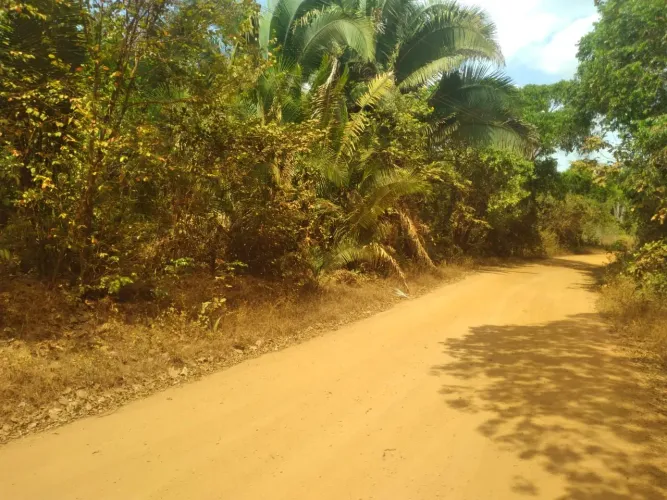 Vendo este Terreno sendo 4hectares de muita terra. Já com poço tubular .