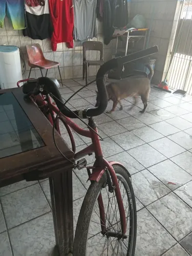 Vendo bicicleta bom estado pra trabalhar