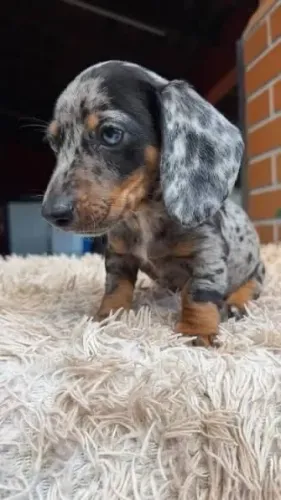 Big Big