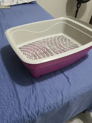 Caixa de areia para gatos