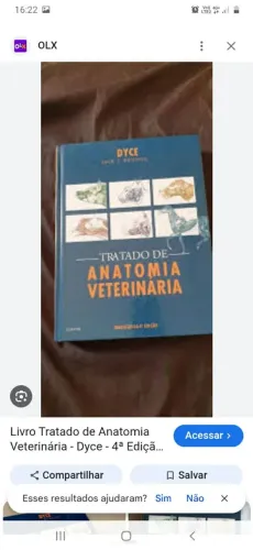 Livros de anatomia veterinário