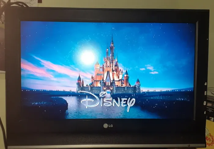 TV LG USADA 29 POL
