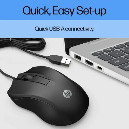Mouse HP 100
