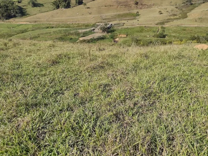 Fazenda com 105 alqueires e rica em água em Vale do Rio Formoso - São José do Barreiro/SP.