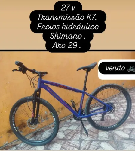 Bicicleta 1900$