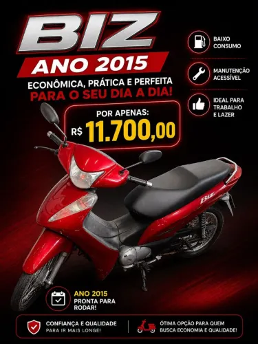 Blz ano 2015