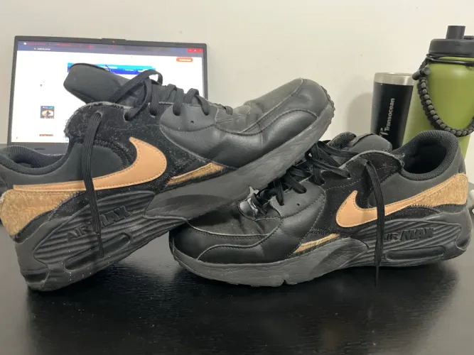 Tênis Nike Air Max Excee - Masculino