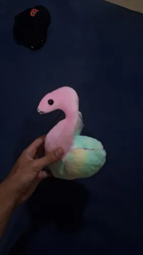 cisne rosa e colorida