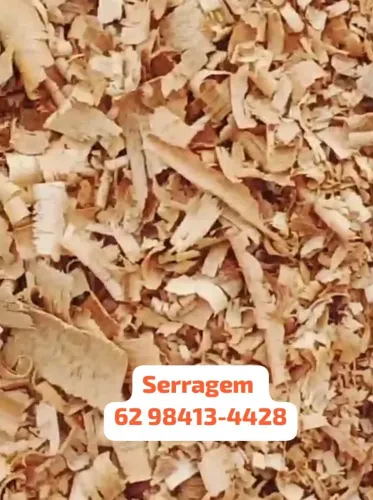 Serragem Grossa para Roedores