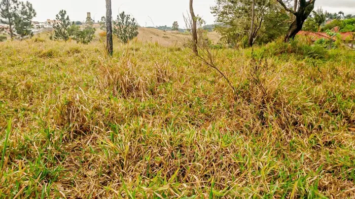 Lindo Terreno Figueira Branca/Jarinu-SP Ideal para Chácara e Moradia