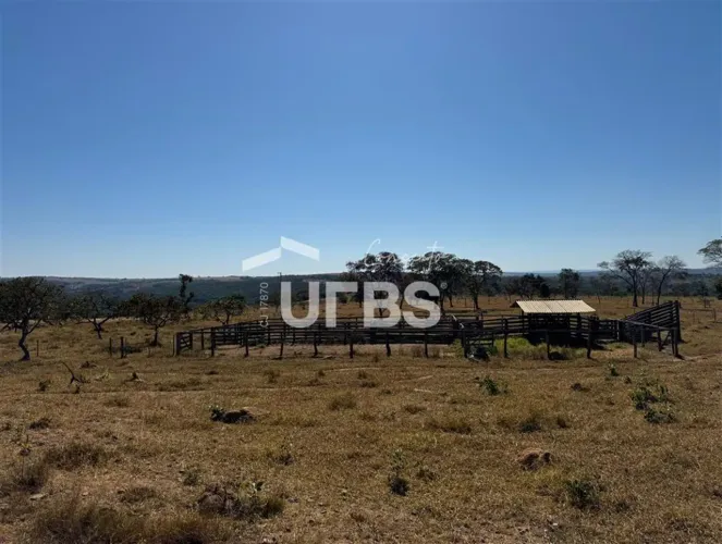 Fazenda de 29 Alqueires em Ipameri-GO  Riqueza Hídrica e Estrutura Pronta