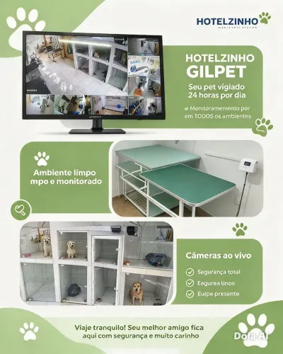 Hotelzinho para Cães e Gatos
