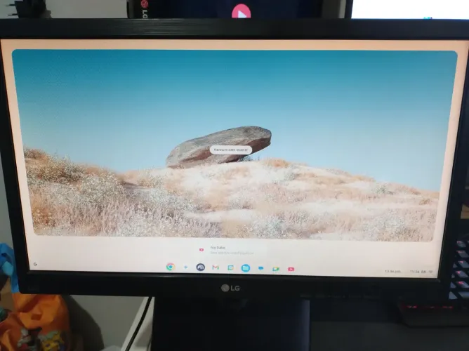 Monitor LG 20" Perfeito estado
