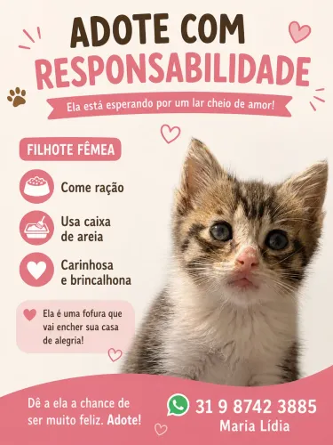 Adoção responsável filhote fêmea