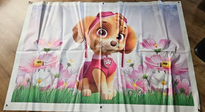 Painel e displays Skye Patrulha Canina