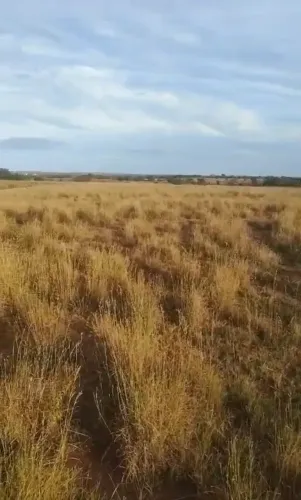 Fazenda a venda, em Mundo Novo - Goiás!!!