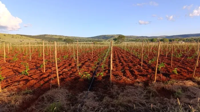 Título: Sítio 11 Hectares Próximo a  Brumado - Porteira Fechada com Energia Solar e Irrig