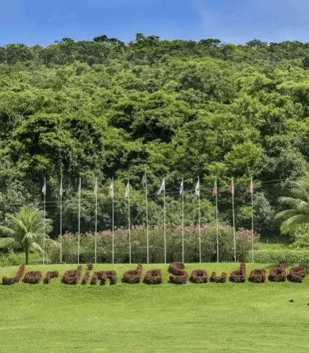 Jazigo Perpétuo no Cemitério Jardim da Saudade - Sulacap