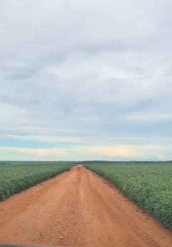 Vendo fazenda no ms cidade de antonio joao 