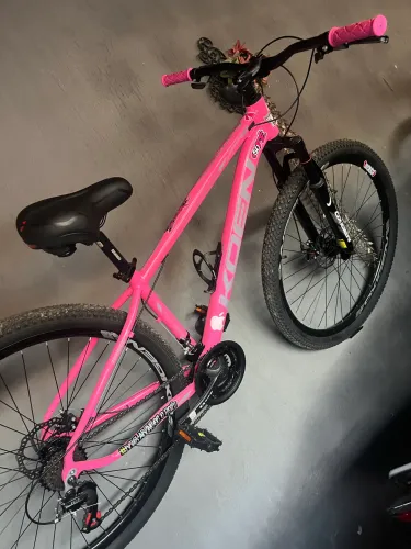 Bicicleta Aro 29