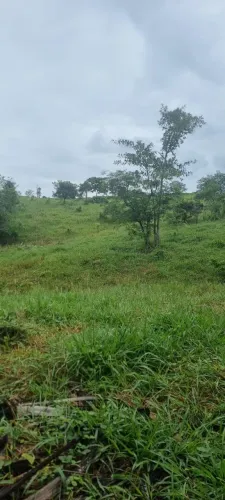Sitio próximo a cidade -Documentação ok
