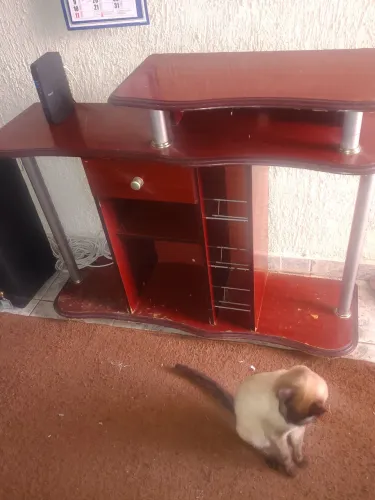 Doação de um RACK para sala