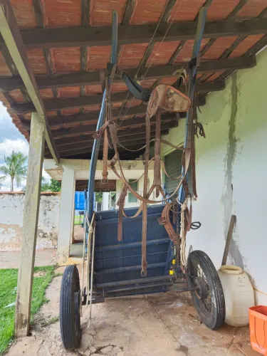 Carroça completa para cavalo  