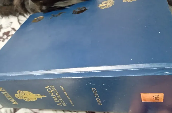 LIVRO - A DANÇA DOS DRAGÕES 