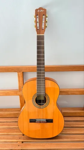 Violão Di Giorgio Classic 38