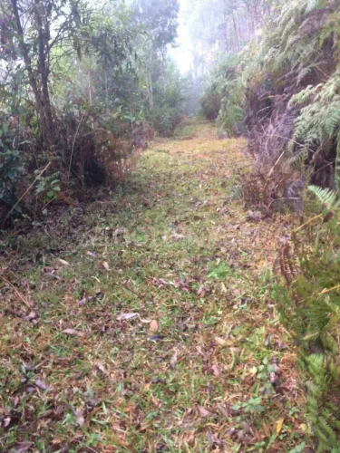 Chácara / Sítio à venda, Não Informado - Botuverá/SC