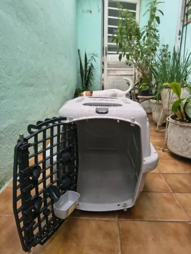 Caixa transportadora pet (kennel) - cargo n4