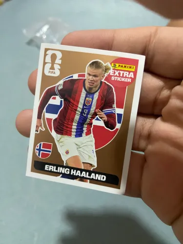 Figurinha copa erling haaland
