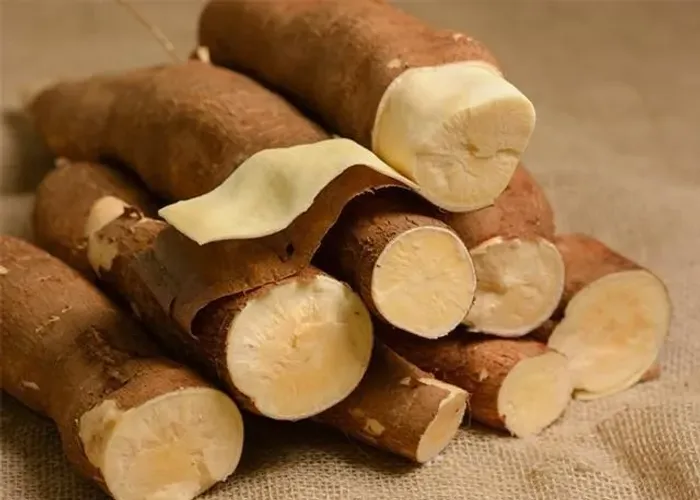 rama da mandioca pao da china