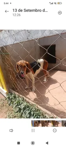 Vende-se 