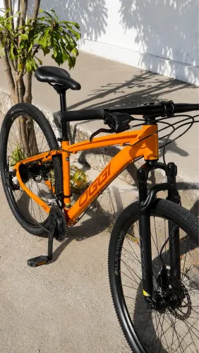 Bike OGGI aro 29