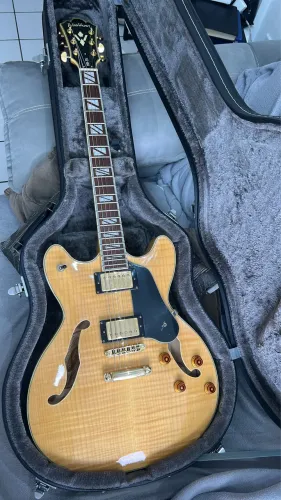 Guitarra Washburn Hb 35