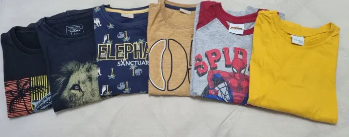 Lote 6 camisetas menino tamanho 8 excelentes Marcas