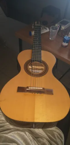 Vendo linda viola Rozine 