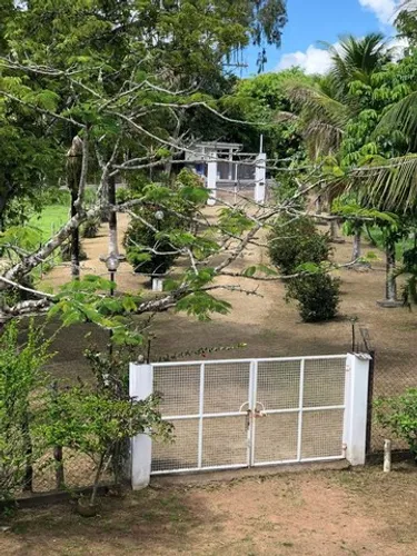 Excelente Sítio 14 hectares Maragojipe