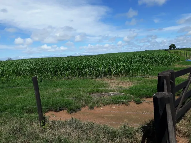 Fazenda plana, 501 alq. Ou 2.424.84 hect em Porangatu Goiás 100.200.000